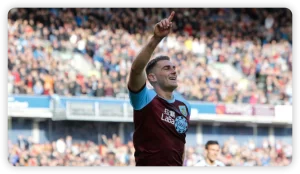 Vokes